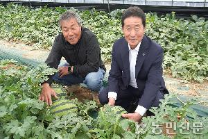 아삭하고 달콤한 ‘고창 수박’ 본격 출하