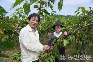 부안 하서농협, 수확·판매 지원으로 오디농가 ‘든든’