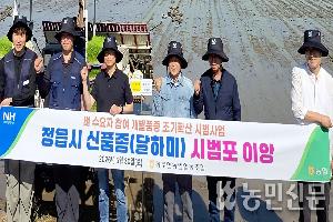 신품종 쌀 ‘달하미’로 기후변화 대응