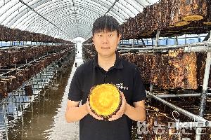 [청년농이 뛴다] 약용버섯 재배사 17동 운영…가공·유통 병행 연매출 4억