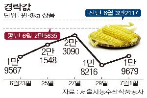[한눈에 보는 시세] 찰옥수수, 초반 가격 급등락…전국 출하땐 하락