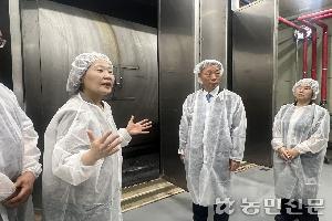 한달 걸리던 메주 발효 2주 만에 뚝딱…토착 미생물의 힘