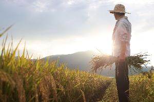 “한 나라 가뭄이 전 세계 식탁 흔든다”…식량안보 경고등